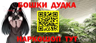спиды Будённовск
