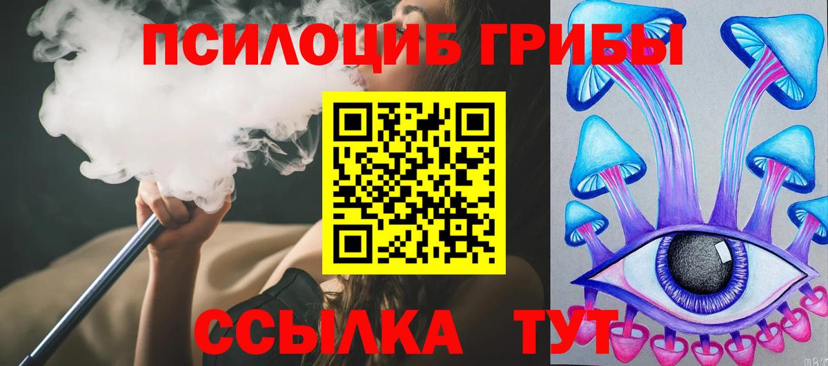 Северобайкальск  Псилоцибиновые грибы Magic Shrooms  Вход с VPN 